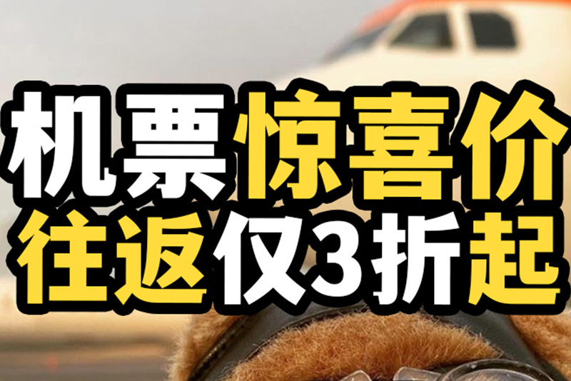 德国往返机票