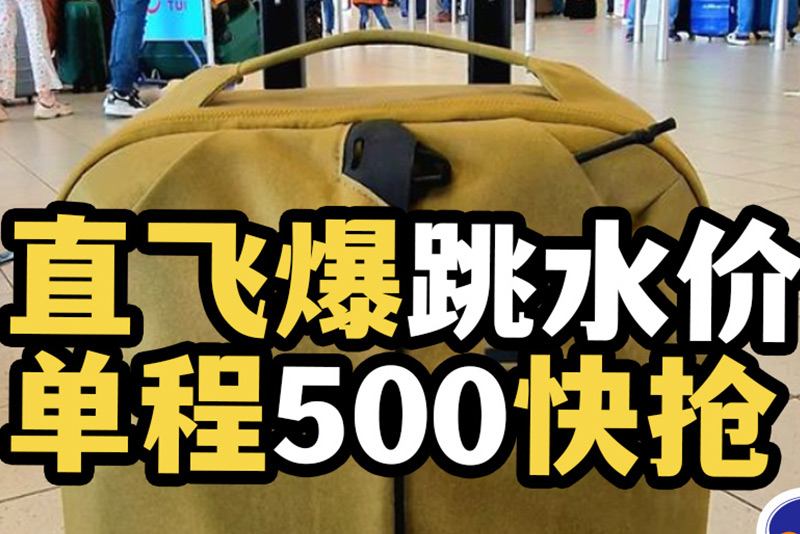 俄罗斯回国
